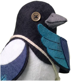 Pica, a wing over one eye